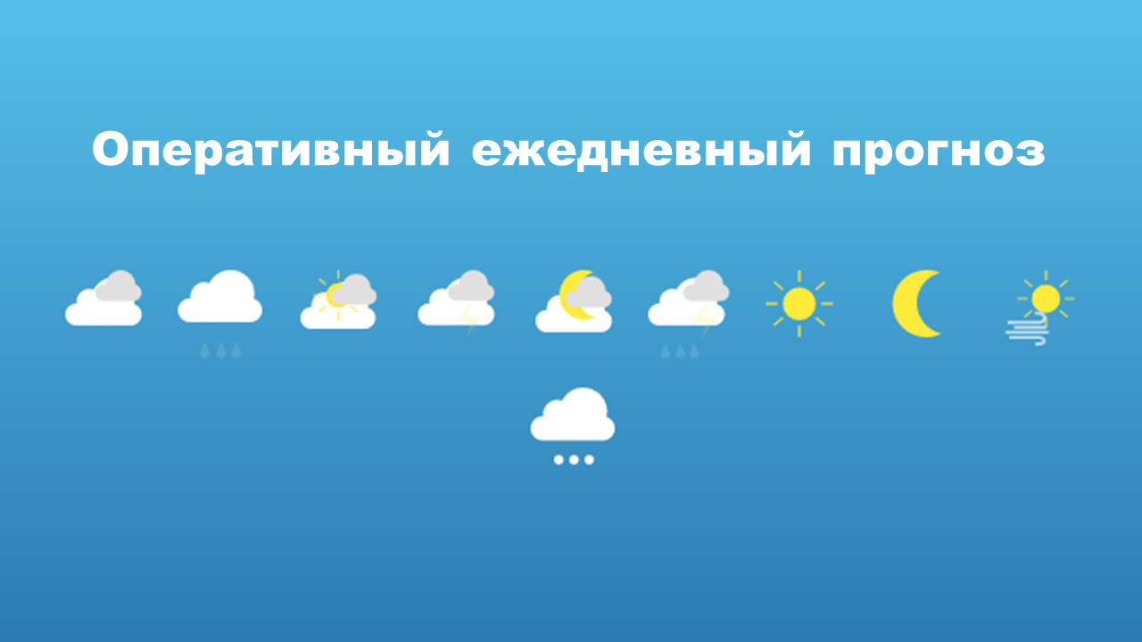Оперативный ежедневный прогноз.