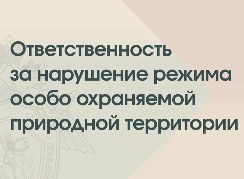 Ответственность за нарушение режима охраны и использования особо охраняемых природных территорий.