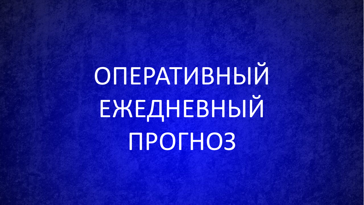 ОПЕРАТИВНЫЙ ЕЖЕДНЕВНЫЙ ПРОГНОЗ возникновения и развития чрезвычайных ситуаций на территории Республики Коми на 19 октября 2024 года.